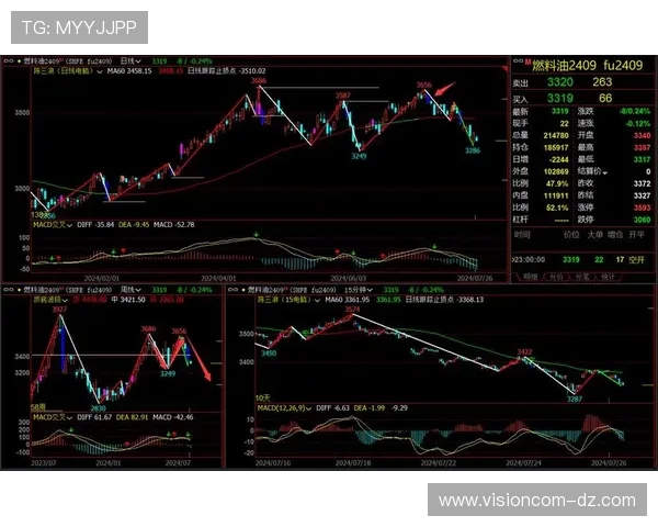 欧博二代d豪华版价格走势及市场行情未来趋势预测