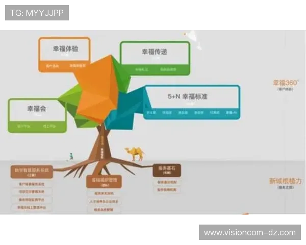欧博官网代理平台合作成功案例分享与经验总结