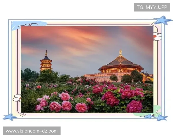 牡丹娱乐城：引领娱乐新潮流，打造城市最具魅力的娱乐休闲场所